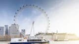Afternoon Tea Cruise on the River Thames - image 7