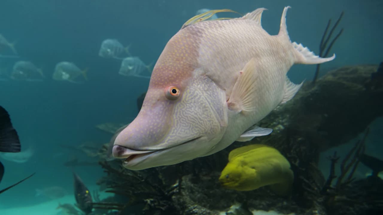 New York Aquarium - Photo 2