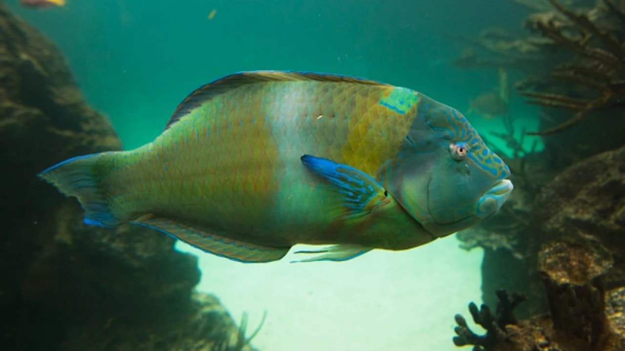 New York Aquarium - Photo 3