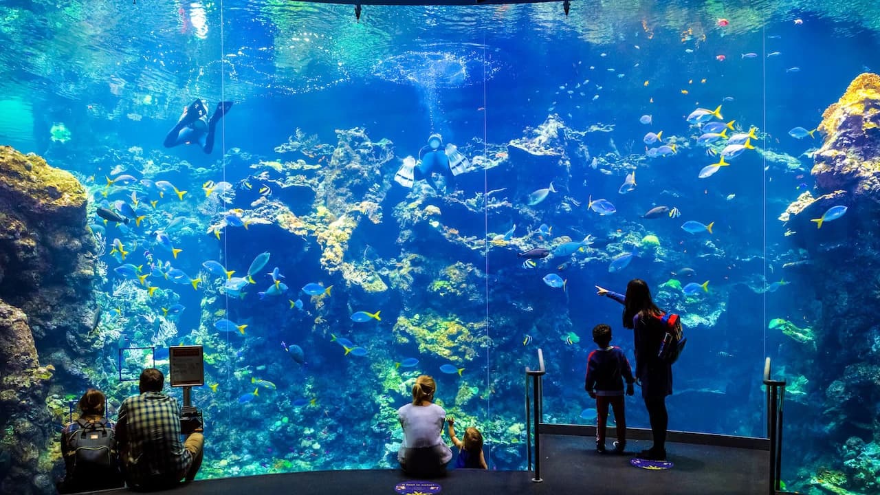 California Academy of Sciences Ticket - Photo 5