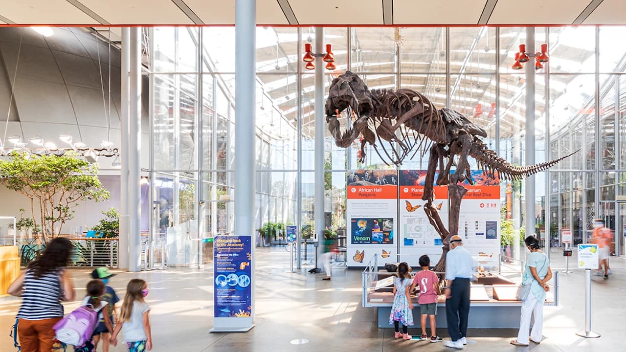 California Academy of Sciences Ticket - image 8