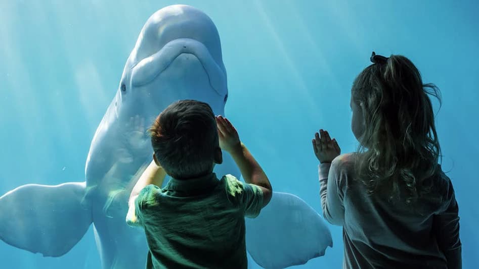 Chicago CityPASS: Admission to 5 Top Attractions - Photo 2