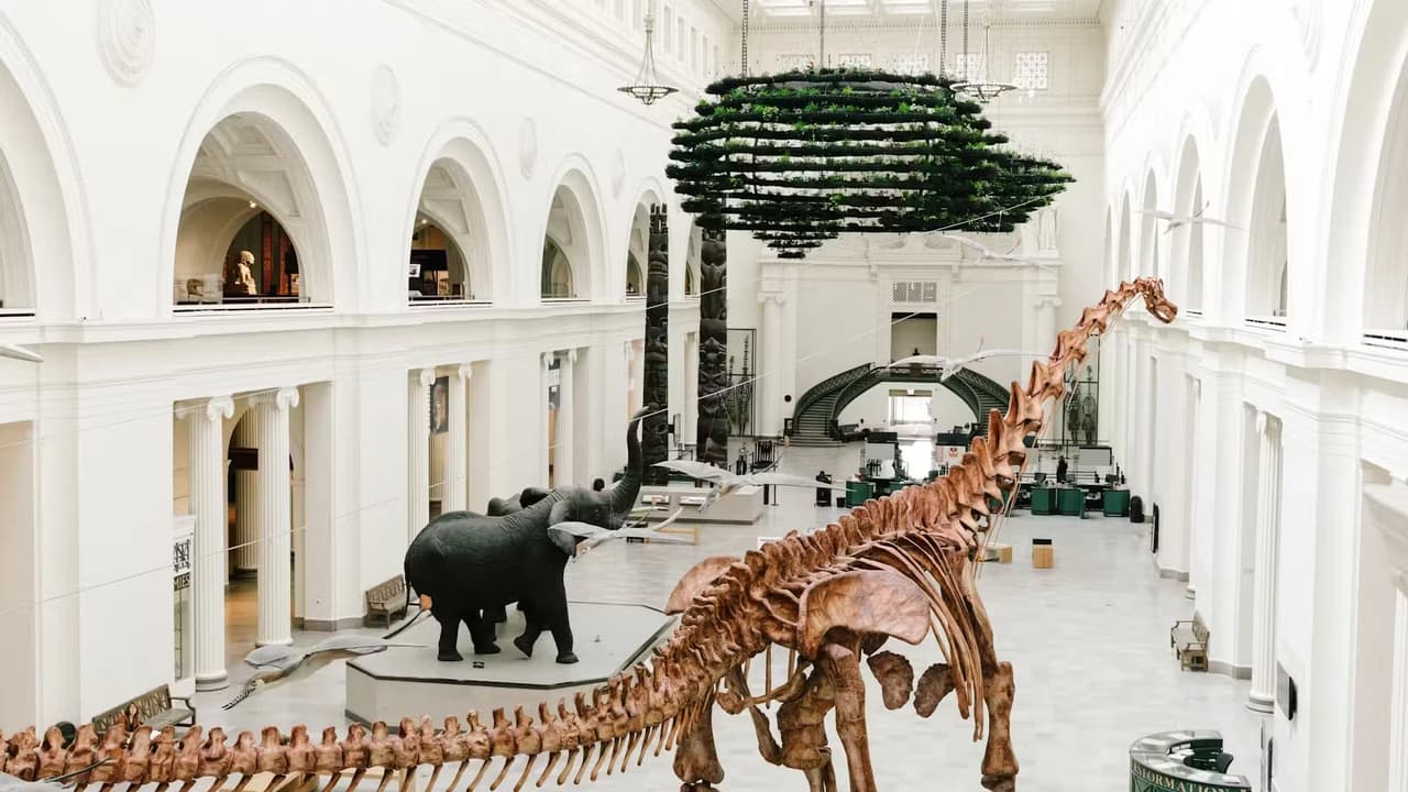 Chicago CityPASS: Admission to 5 Top Attractions - Photo 4