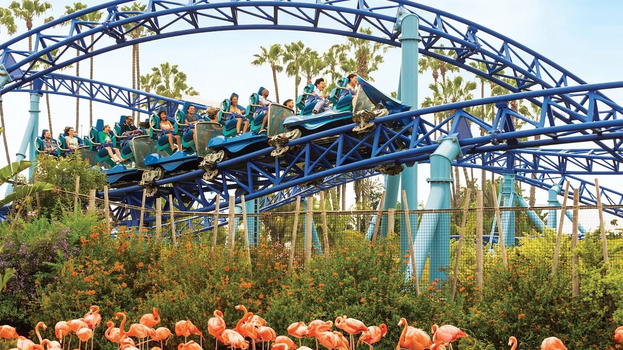 SeaWorld San Diego Ticket: Direct Entry - Photo 4