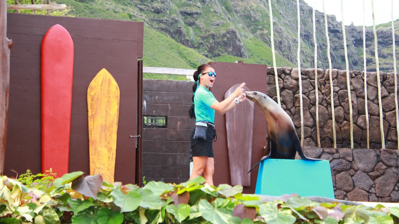 Sea Life Park Hawaii - image 6