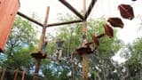 Coral Crater Adventure Park - image 7