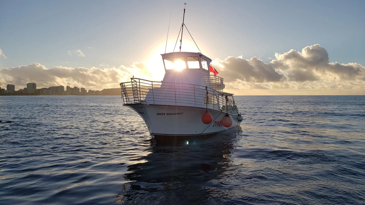 Oahu South Shore Cruise - Photo 1