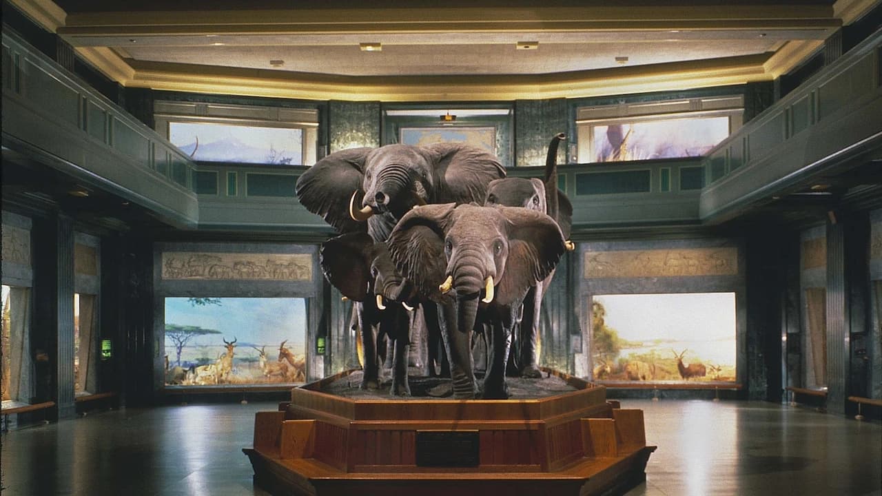 American Museum of Natural History Ticket - Photo 2