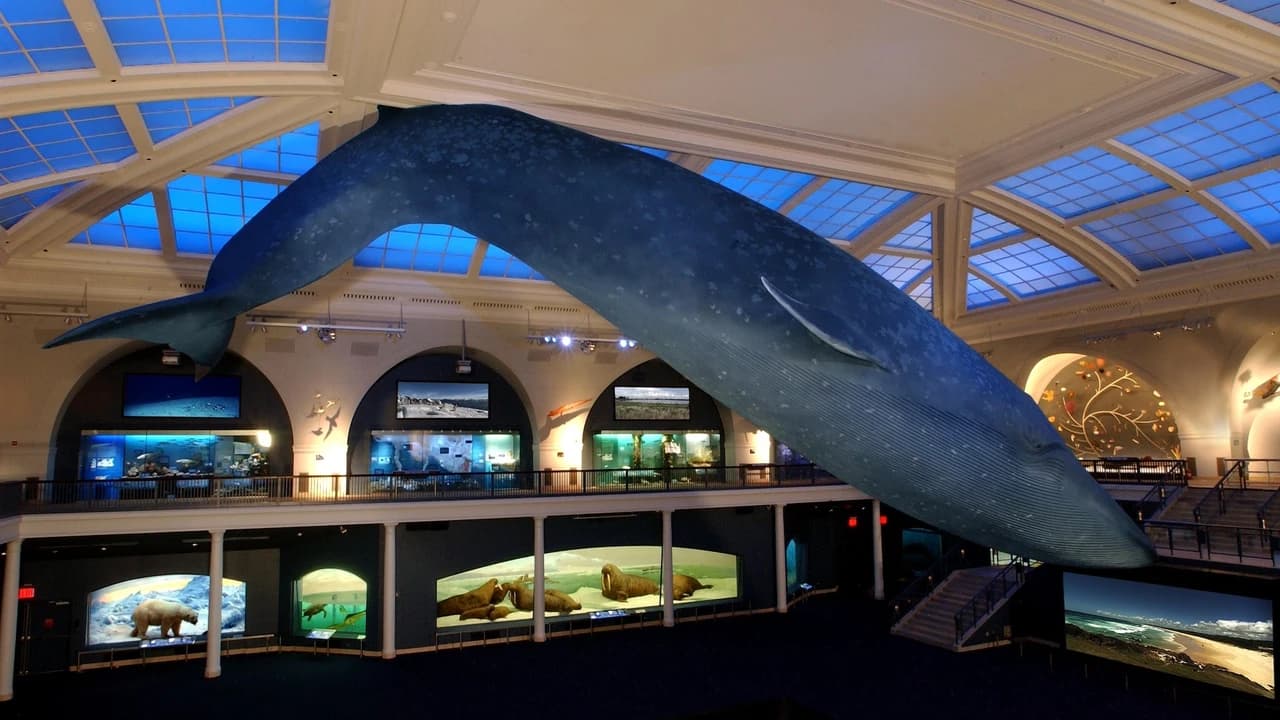 American Museum of Natural History Ticket - Photo 5