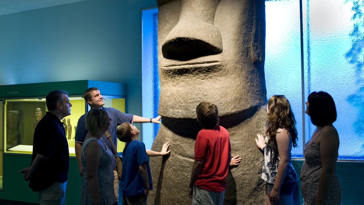 American Museum of Natural History Ticket - image 7