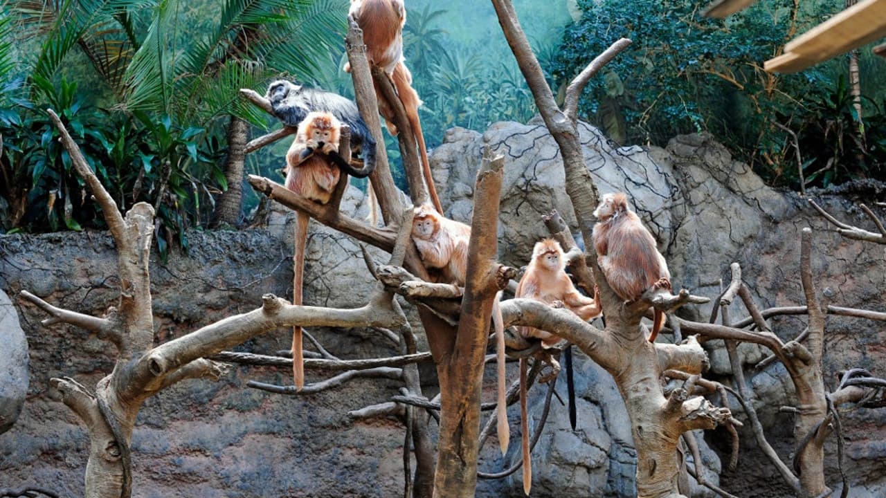 Bronx Zoo - Photo 1