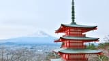 Mount Fuji G Line Full-Day Tour from Tokyo: Arakurayama Sengen Park, Lake Kawaguchi - image 8