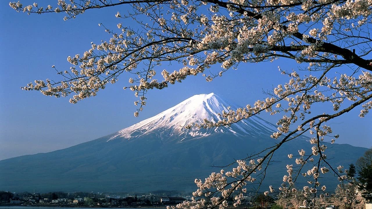 Mount Fuji G Line Full-Day Tour from Tokyo: Arakurayama Sengen Park, Lake Kawaguchi - Photo 2