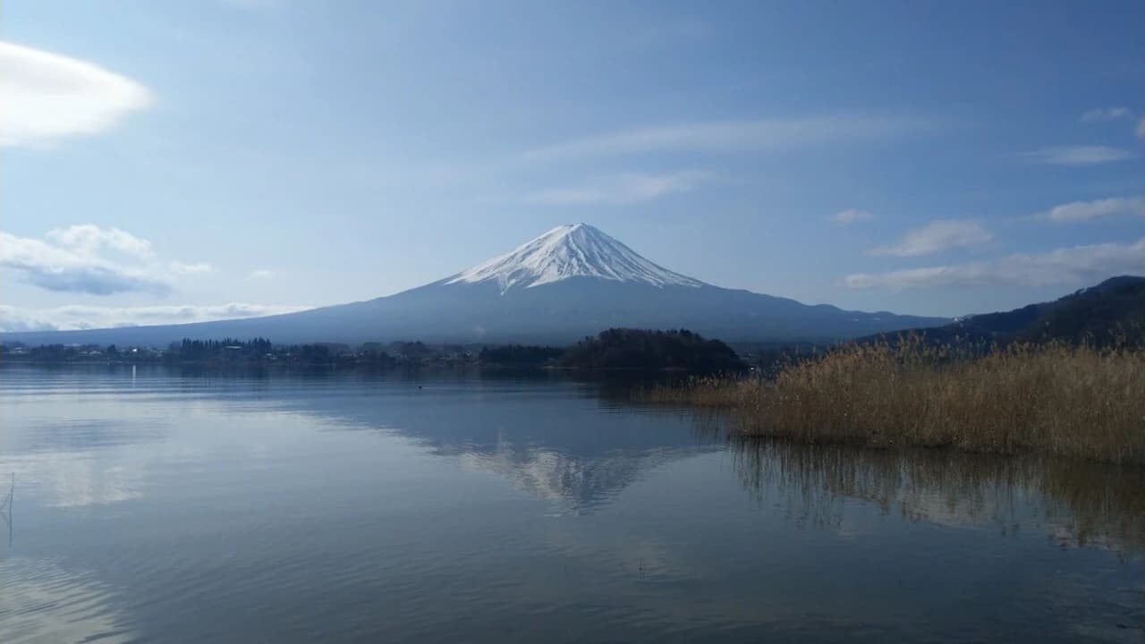 Mount Fuji Day Tour with Kawaguchiko Lake - Photo 1