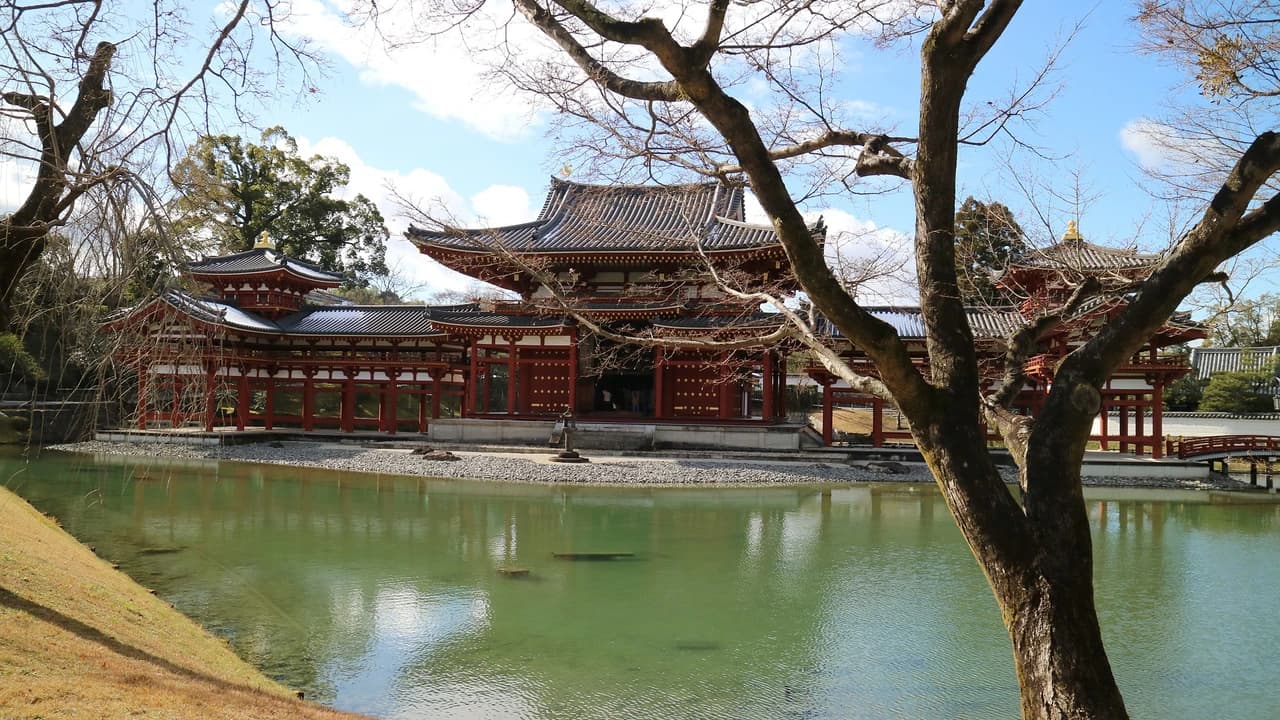 Uji Walking Tour and Tea Ceremony Experience from Kyoto - Photo 1