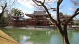 Uji Walking Tour and Tea Ceremony Experience from Kyoto - image 8