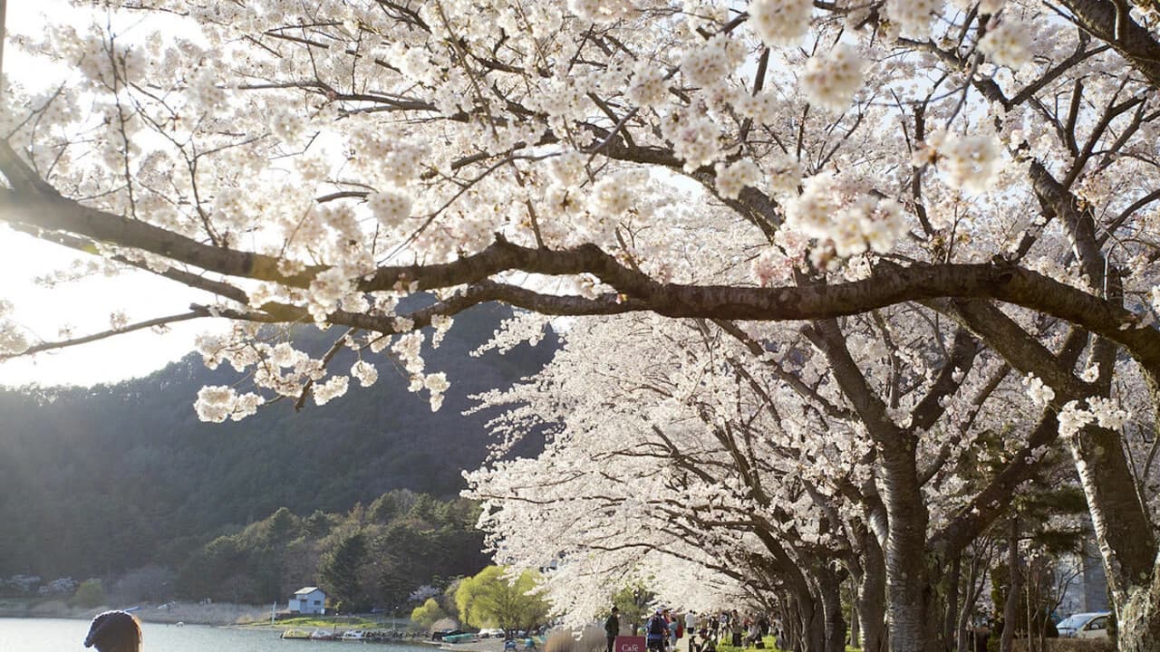 Mount Fuji Day Tour with Kawaguchiko Lake - Photo 4