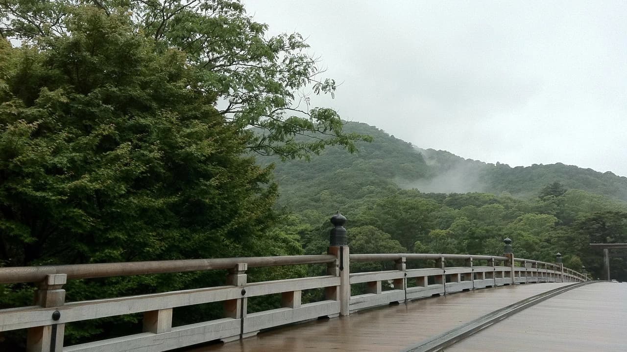 Uji Walking Tour and Tea Ceremony Experience from Kyoto - Photo 4