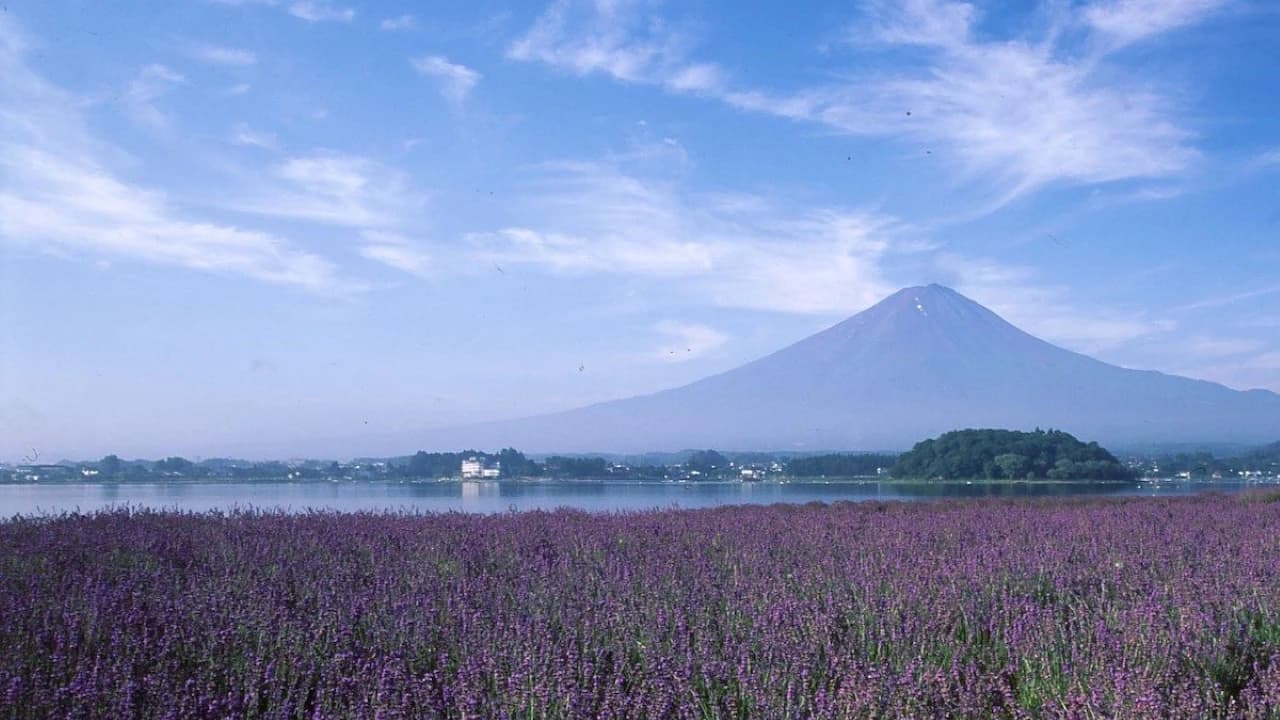 Fuji Hakone Pass - Photo 1
