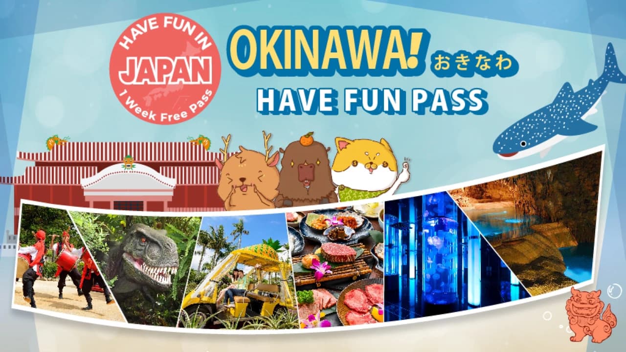 Have Fun in Okinawa Pass - 1 Week Free Pass - Photo 1