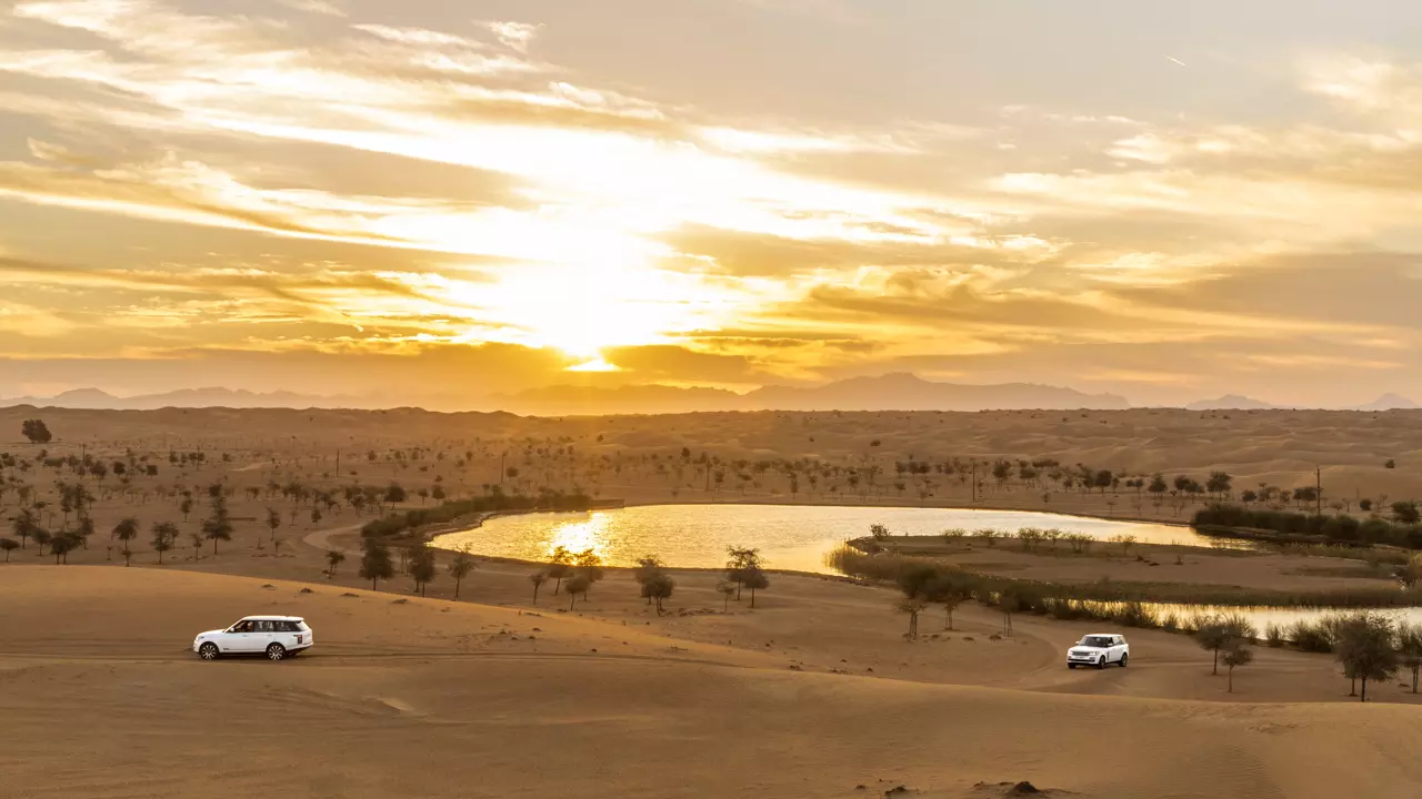 Platinum safari - image 6