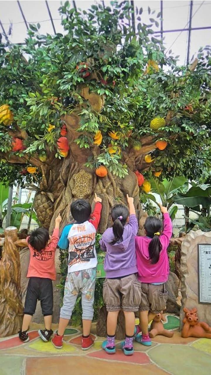 Okinawa Tropical Fruits Land - Photo 5
