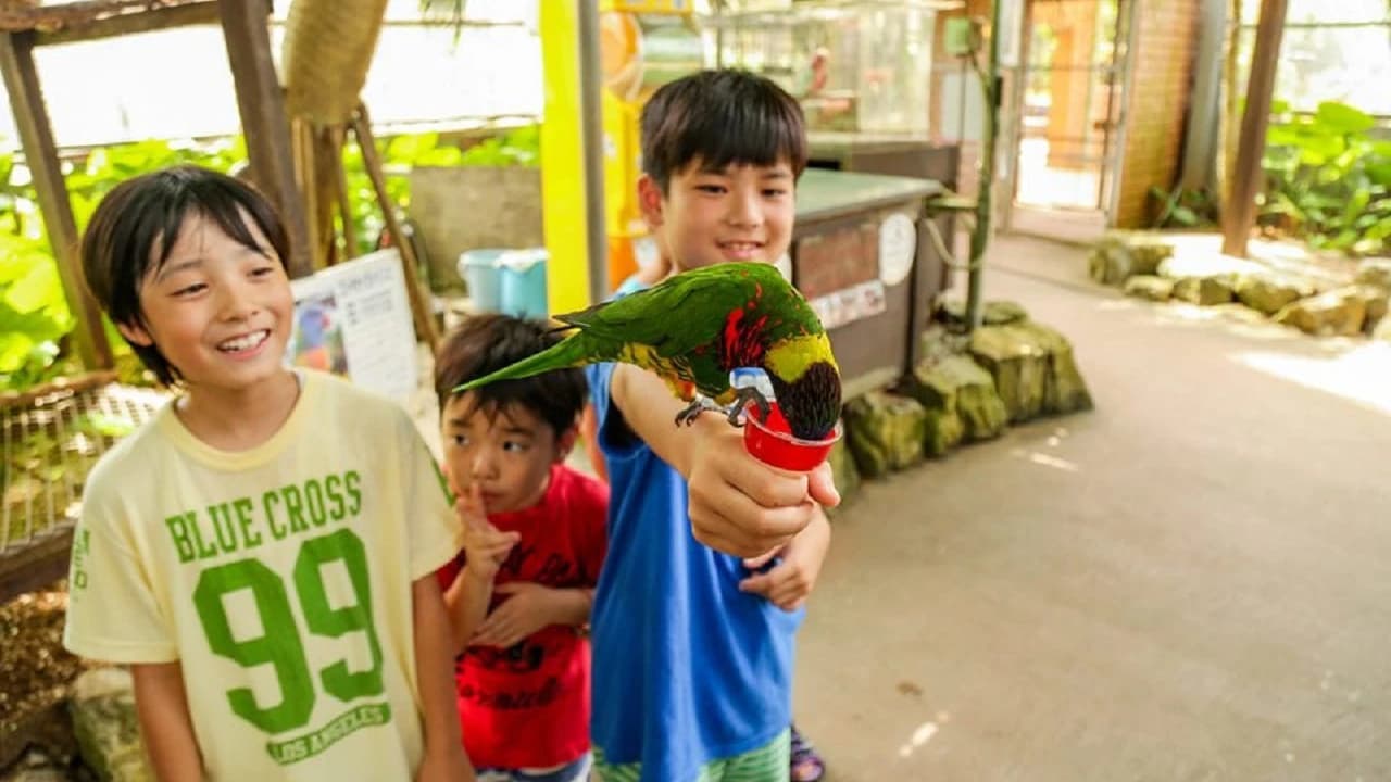 Okinawa Tropical Fruits Land - image 6