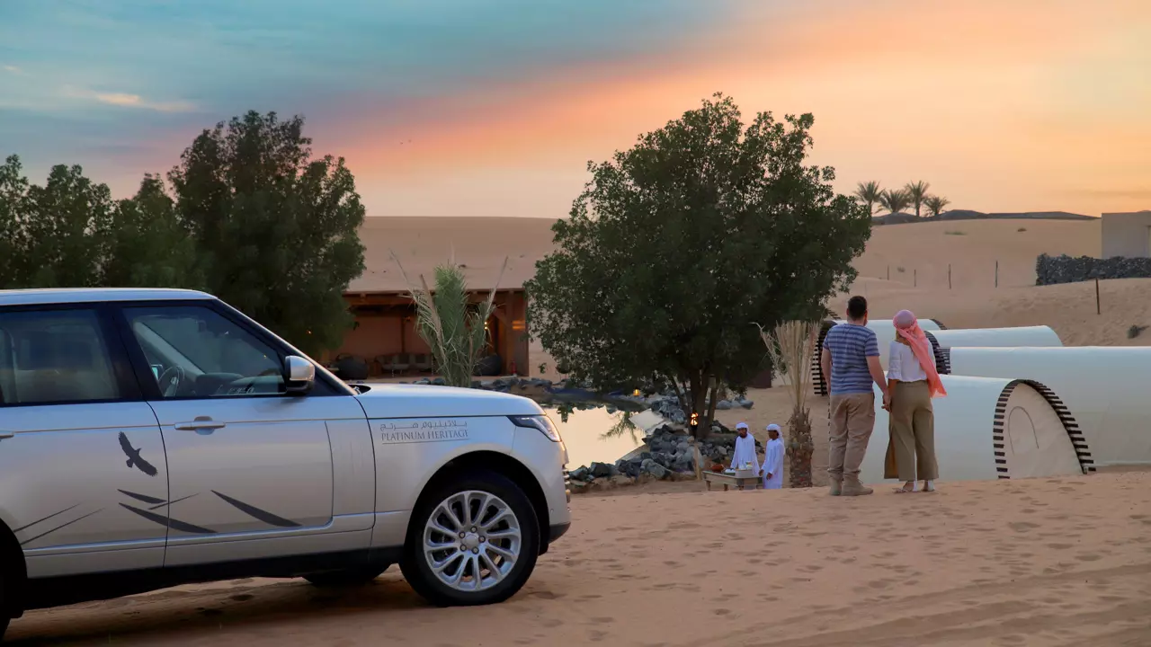 Platinum safari - image 7