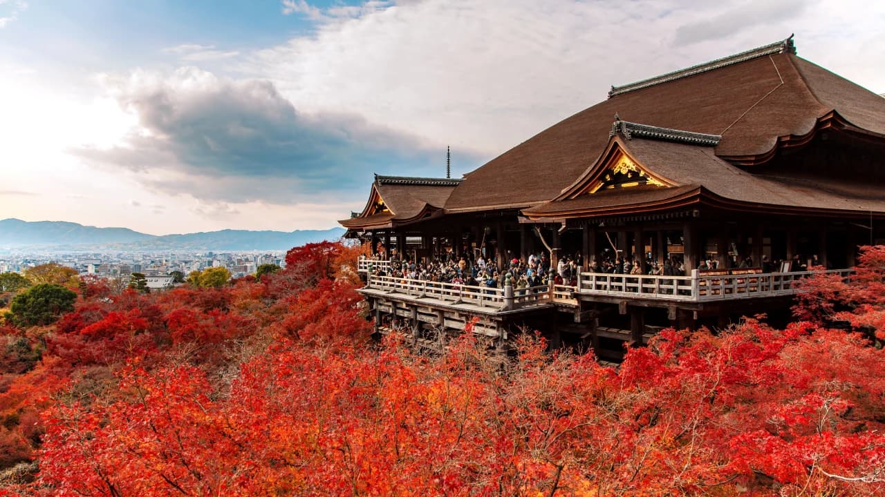Kyoto and Nara Full-Day Tour from Osaka: Kiyomizudera Area, Fushimi Inari Taisha, Nara Park - Photo 1