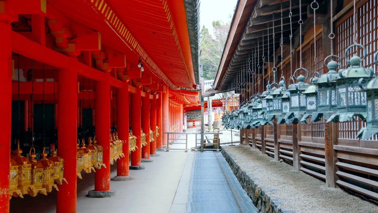 Kyoto and Nara Full-Day Tour from Osaka: Kiyomizudera Area, Fushimi Inari Taisha, Nara Park - Photo 5