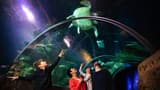 COMBO: SEA LIFE London Aquarium Ticket + London Hop-on Hop-off Bus Tour - image 8