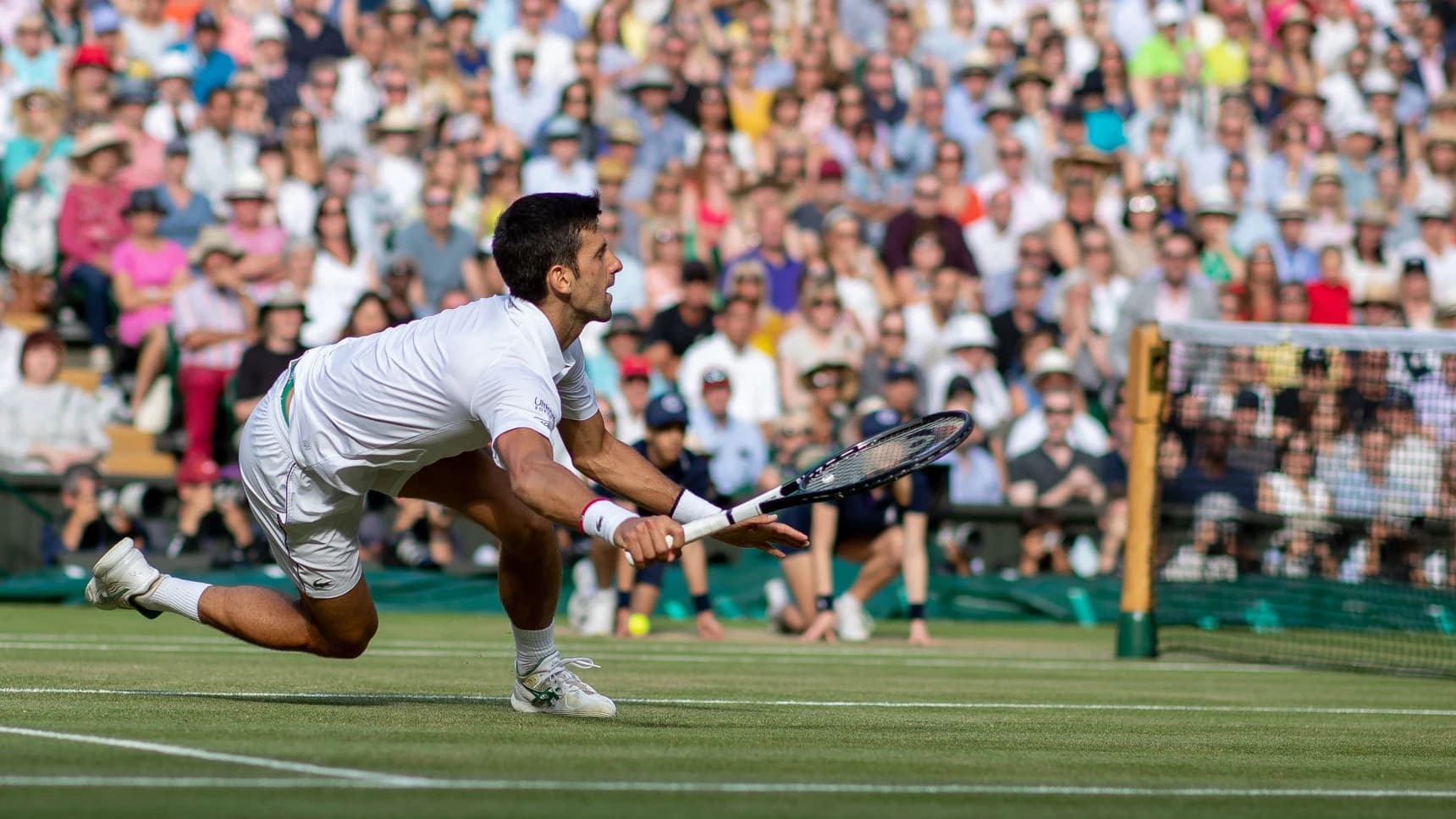 Tennis Tournament Wimbledon 2027 Ticket (28 Jun - 11 Jul) - image 8
