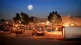 Private Night Safari and Astronomy - image 7