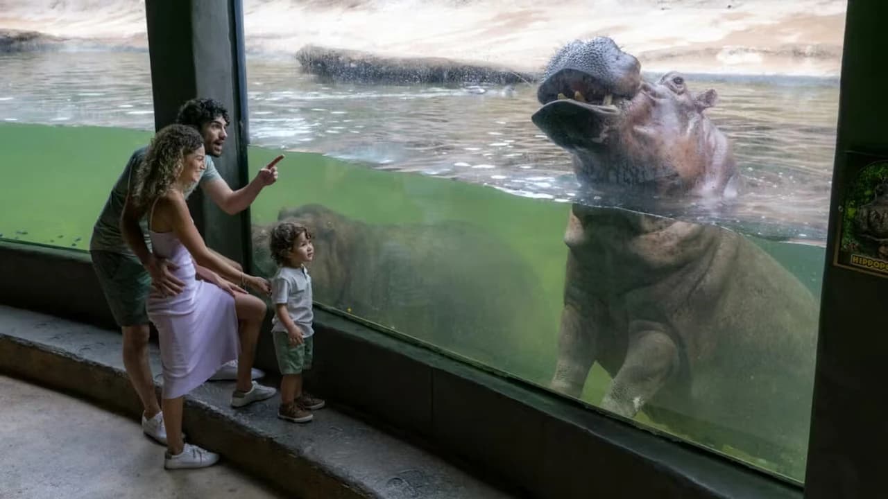 San Antonio Zoo Ticket - Photo 1