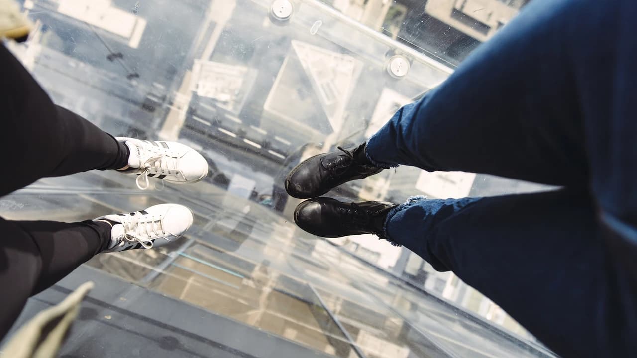Skydeck Chicago and The Ledge Ticket - image 6