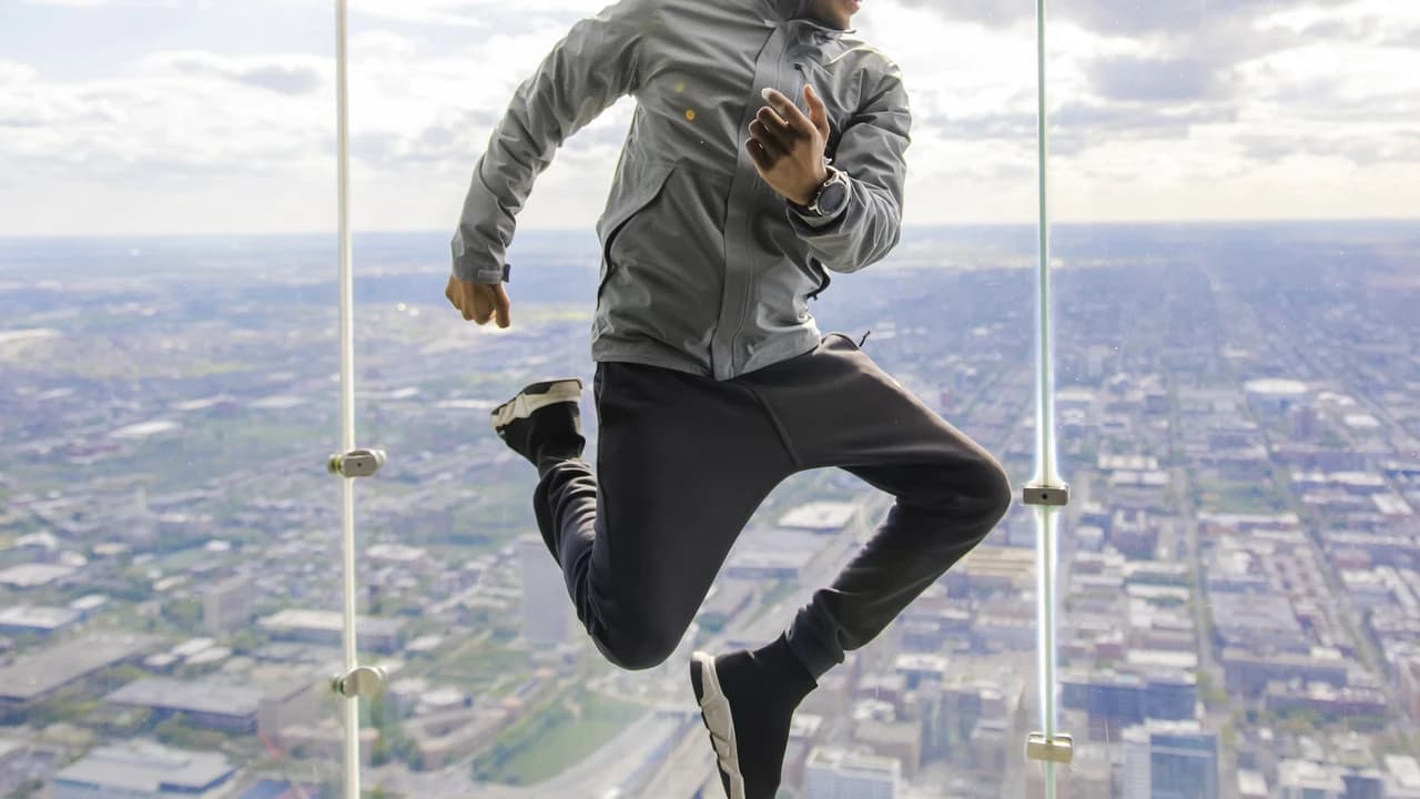 Skydeck Chicago and The Ledge Ticket - image 7