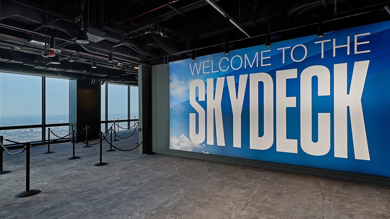 Skydeck Chicago and The Ledge Ticket - image 8