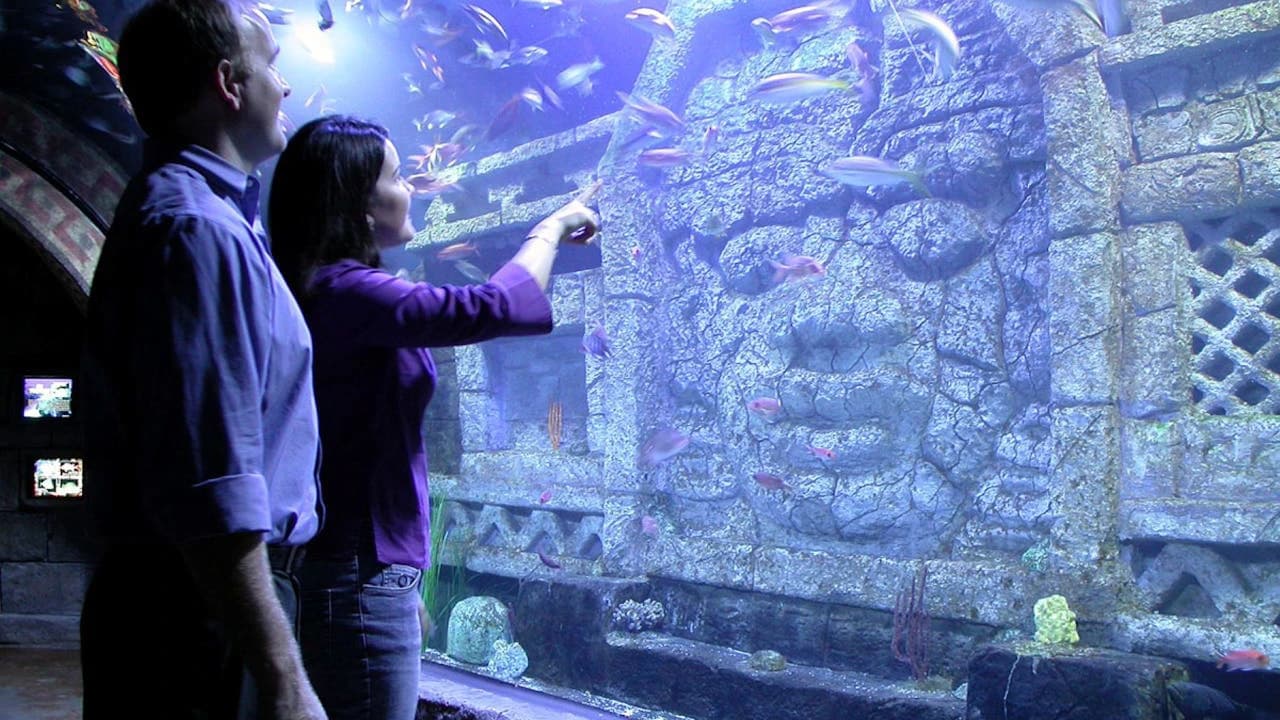 Downtown Aquarium Houston Ticket - Photo 1