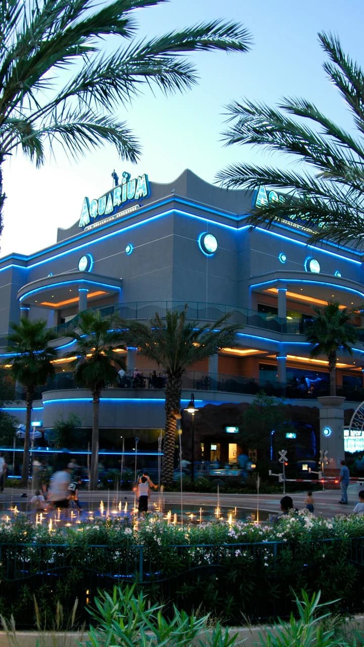Downtown Aquarium Houston Ticket - image 6
