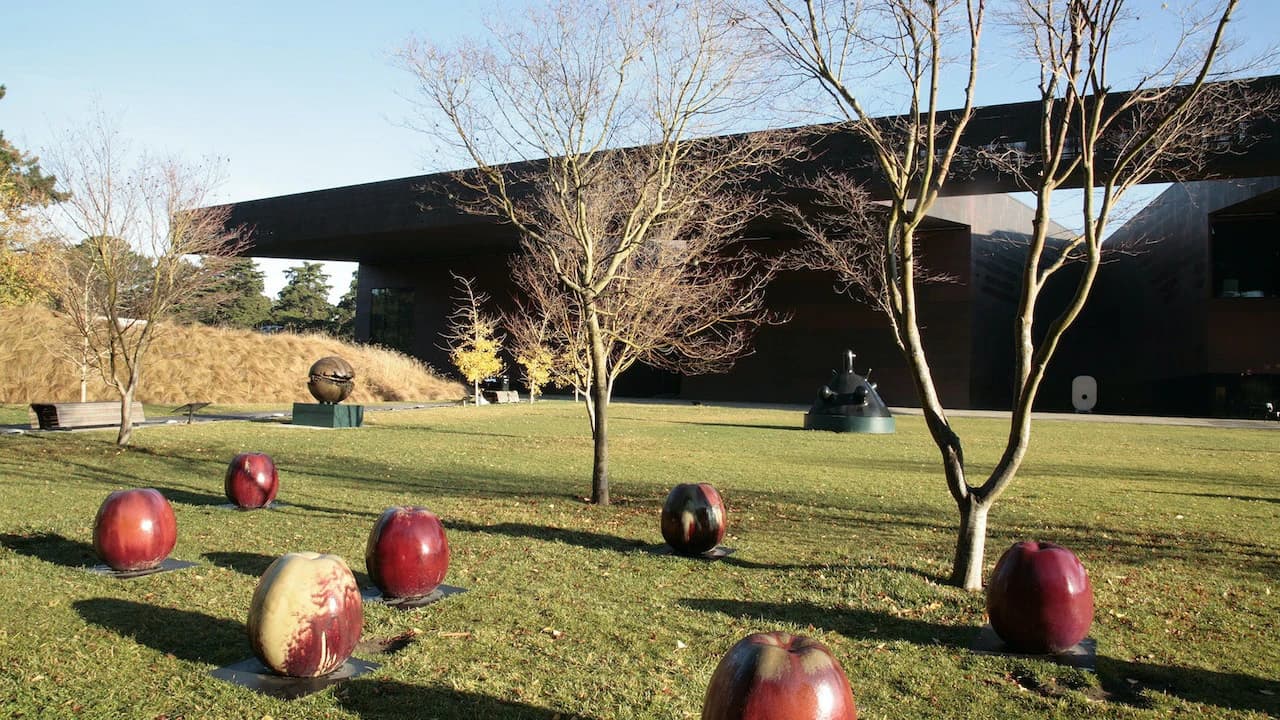 de Young Museum - Photo 3