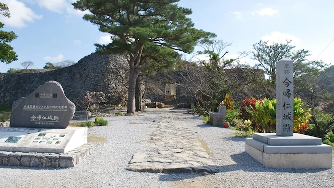Nakijin Castle Ruins Ticket - image 7
