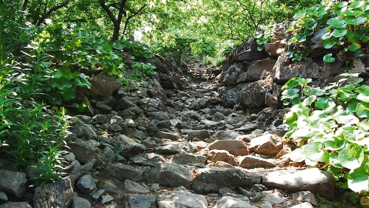 Nakijin Castle Ruins Ticket - image 8