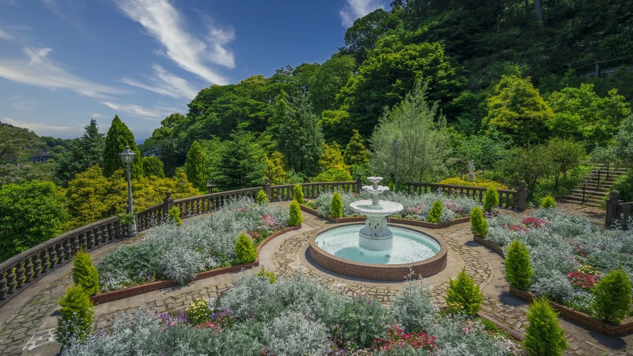 Acao Forest in Shizuoka - Photo 1