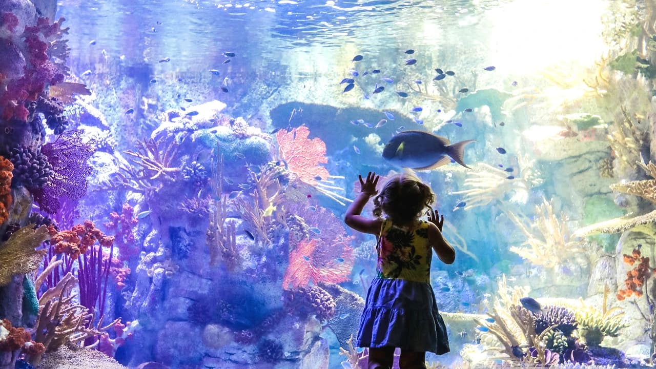 Go City San Diego Essentials Pass: Save up to 50% on Attractions - image 6