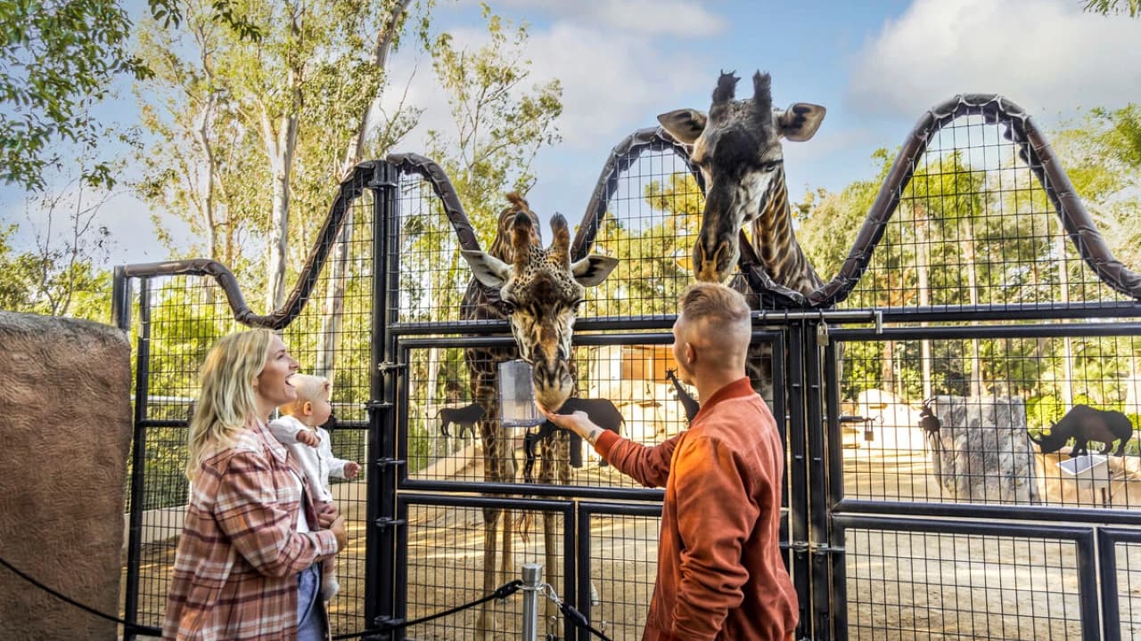 Go City Los Angeles All-Inclusive Pass Plus: Save up to 50% on Attractions - Photo 4