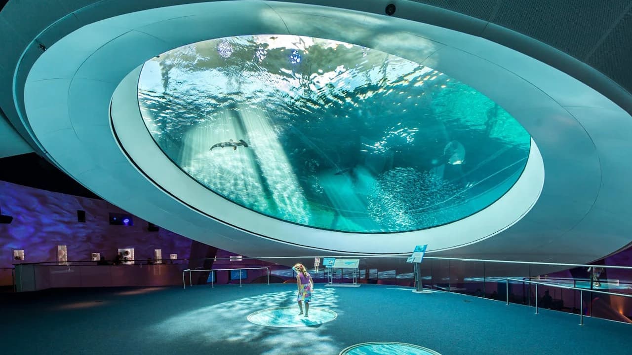 Phillip & Patricia Frost Museum of Science, Aquarium and Planetarium Ticket - Photo 1