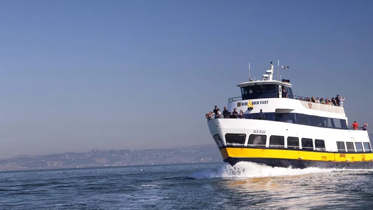 San Francisco to Sausalito Ferry - image 6