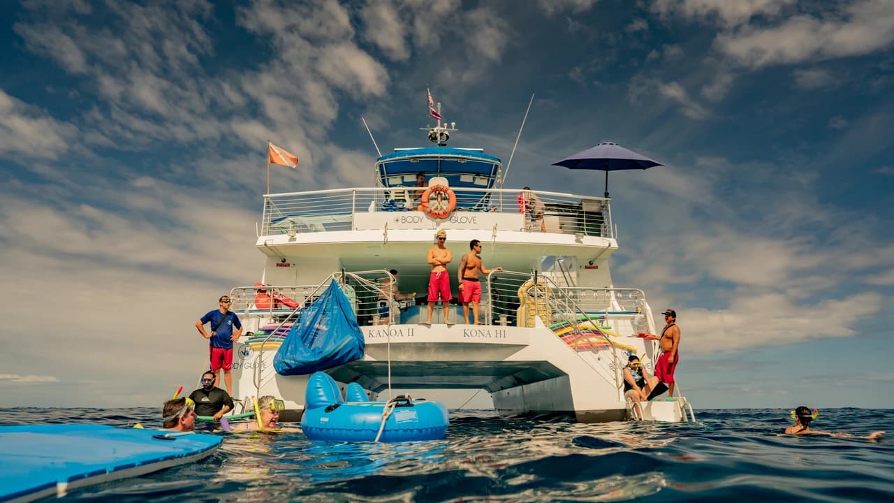 Kona Dolphin Watching Cruise with Snorkelling Experience - Photo 3