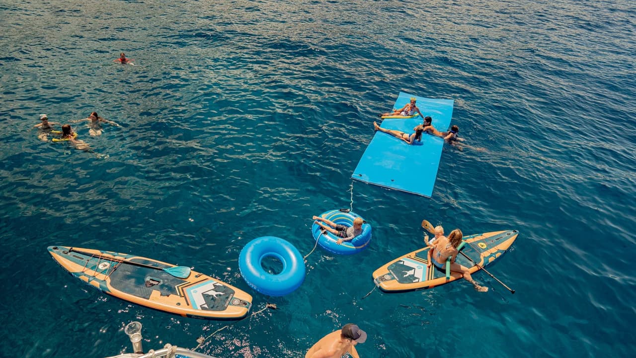 Kona Dolphin Watching Cruise with Snorkelling Experience - Photo 4