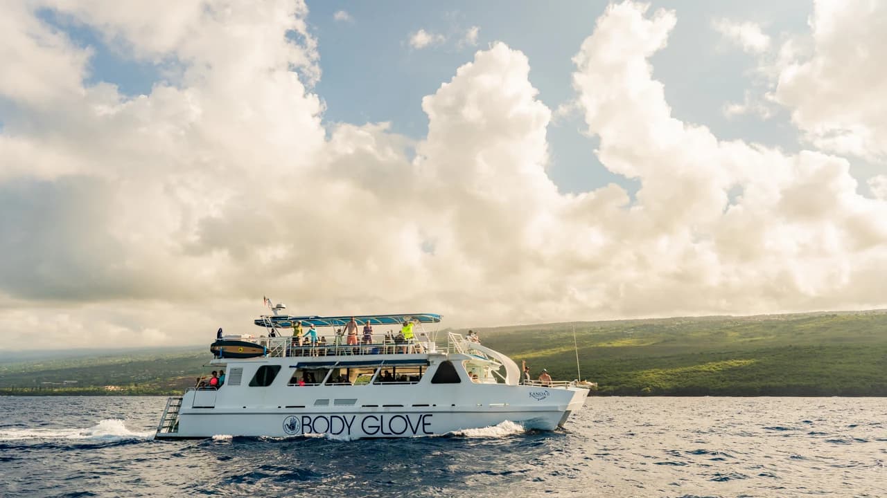 Kona Dolphin Watching Cruise with Snorkelling Experience - Photo 5